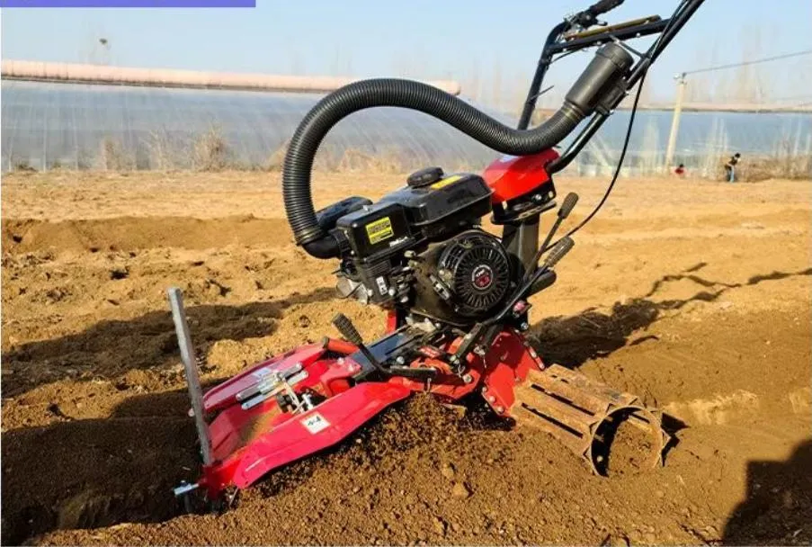 7HP Gasoline 170f Small Front Rotary Cultivator Mini Tiller Multi-Function Farm Machinery